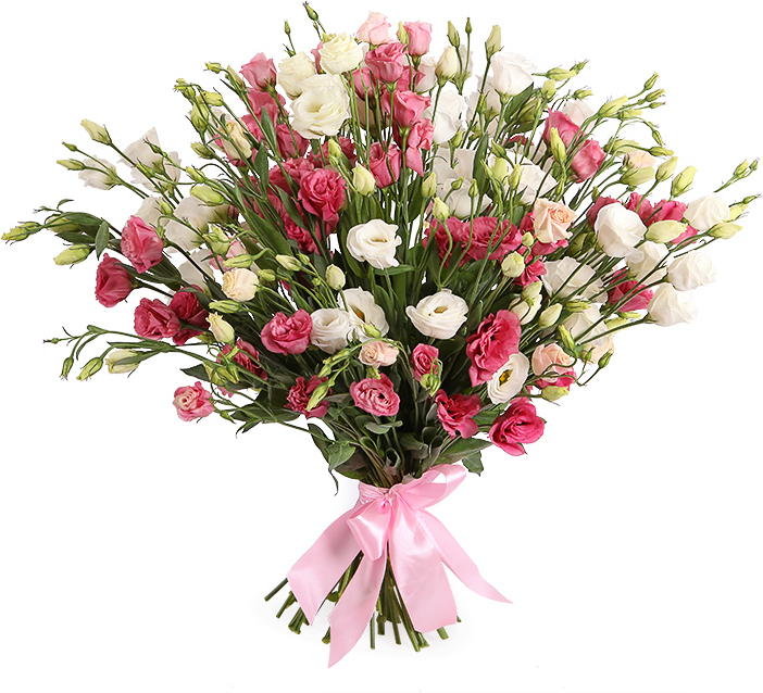 ������ ������ ���� ��������� ����� ����������